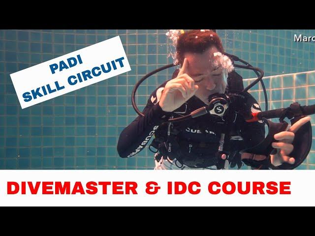 PADI Divemaster Skills Circuit and IDC Skills Circuit - Get the Best Scores!