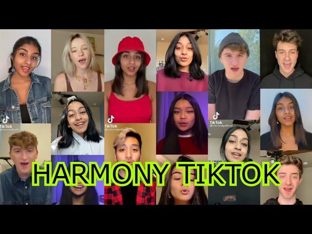 HARMONY TIKTOK COMPILATION- Ear Candy Official "Golden Voices"( Best Harmonies)