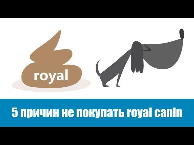 5 причин не покупать Royal Canin