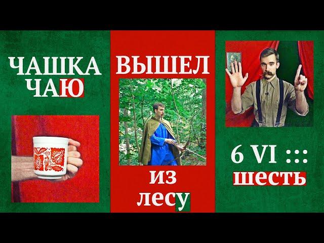 ПАДЕЖИ русского языка, которые НЕ ИЗУЧАЮТ В ШКОЛЕ | Правда ли, что их больше шести?