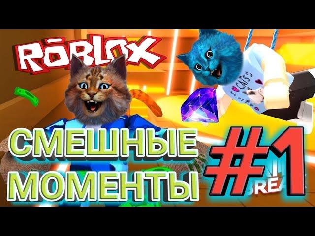 КОТЁНОК ЛАЙК И КОТИК ИГРОМАН//СМЕШНЫЕ МОМЕНТЫ #1