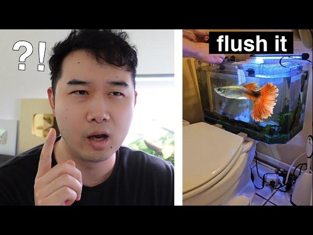 is this a good Fish Tank for GUPPIES? | Fish Tank Review 270