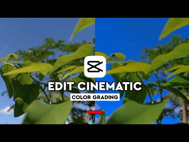 Tutorial Edit Cinematic Color Grading Di Capcut || Capcut Tutorial