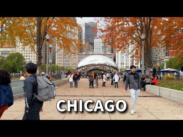 Autumn in Chicago | Michigan Avenue / The Magnificent Mile | Sunday Walk | November 10, 2024 | 4k