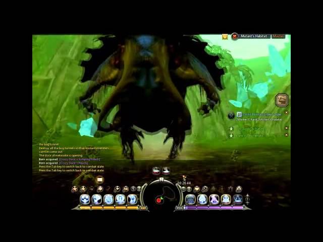 Dragon Nest Dark Summoner PVE Combo