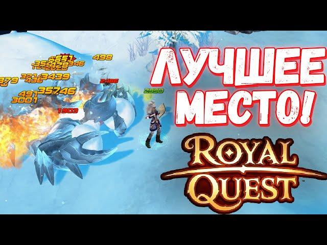 ГДЕ ЛУЧШЕ ВСЕГО КАЧАТЬСЯ С 45 УРОВНЯ - Royal Quest