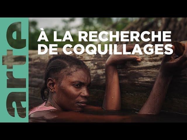 Plongée au coeur du delta du Congo | 360° Reportage | ARTE Family