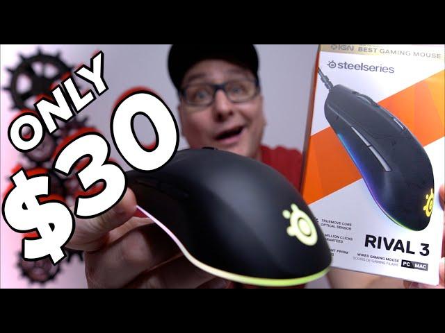 SteelSeries Rival 3 Review, THE BEST BUDGET GAMING MOUSE?