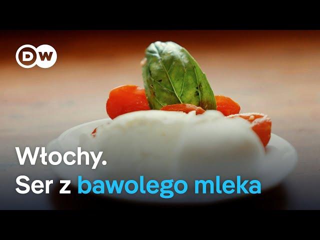 Włochy. Ser z bawolego mleka