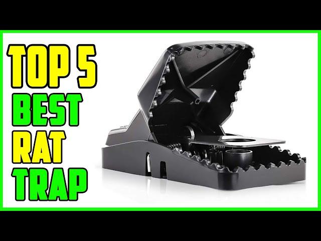 TOP 5 Best Rat Trap 2023