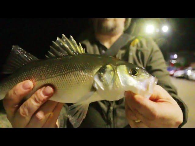 Lrf , light rock fishing UK,  Ultralight lure fishing.  Chris's Vlog episode 4