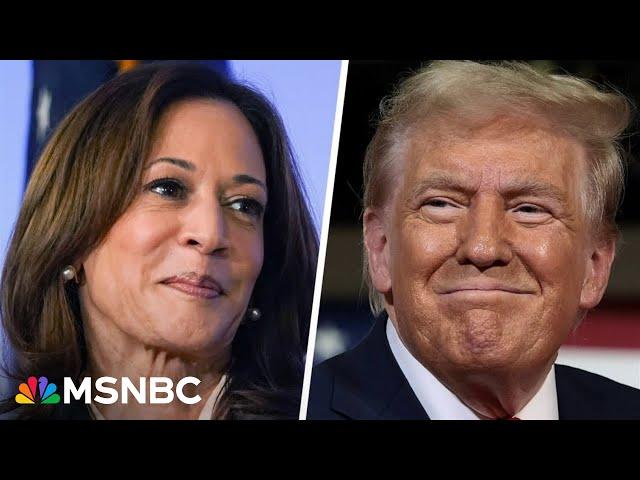 'When his lips are moving– he's lying': Harris campaign chair bashes Trump