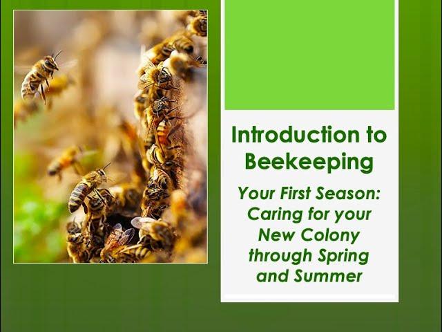 Your First Spring and Summer: Introduction to Beekeeping