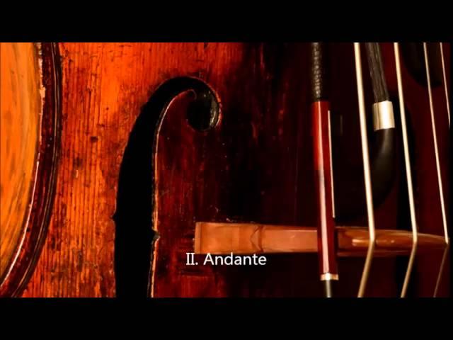 Anton Zimmermann - Double Bass Concerto in D major