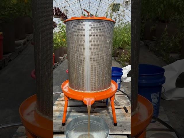 Speidel Press | Apple Cider