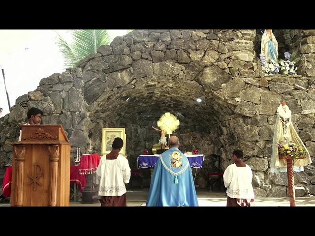 Our Lady of Perpetual Help Novena  - 30/10/2024