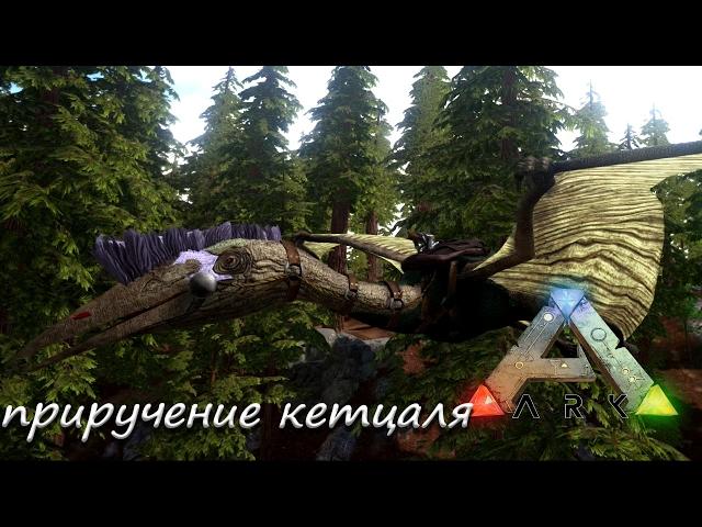 ARK Survival Evolved - Quetzal - как приручить кетцаля соло