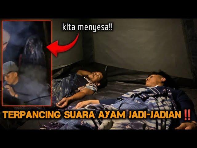 CAMPING HOROR TERPANCING SUARA AYAM JADI-JADIAN DI DALAM HUTAN JAM 1 MALAM KAMI MENYESAL!!!