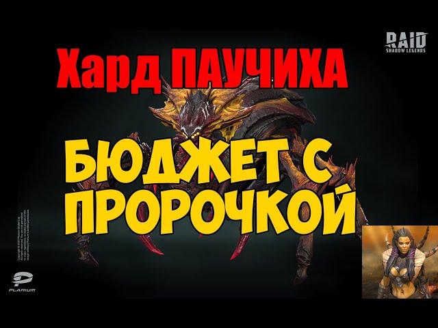 Хард Паук - легко с пророчкой. Бюджет-паки.