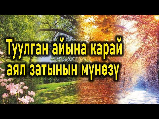 Туулган айына жараша аялзатына мүнөздөмө