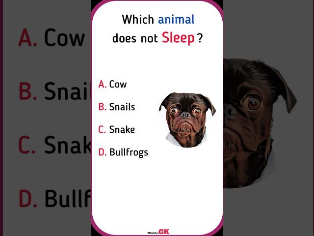 General Knowledge | #shortsfeed #shorts #gkshorts #gk #shortsvideo #animals