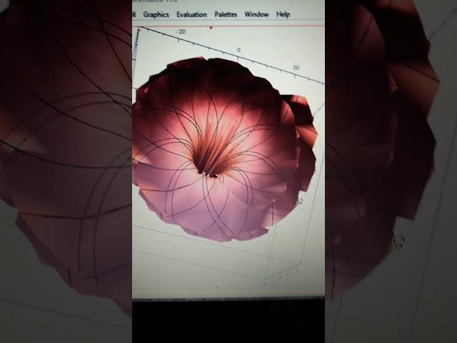 Wolfram Mathematica flowers