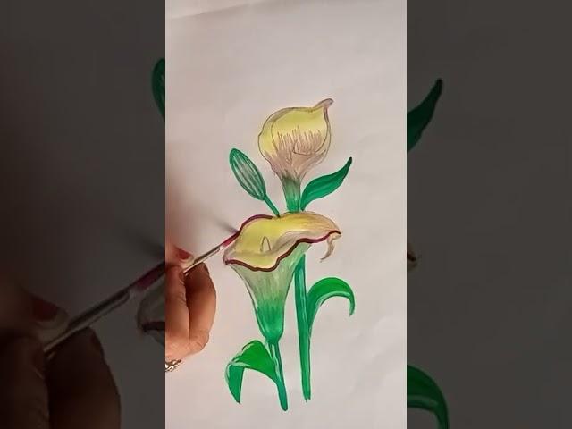 A simple lily flowers drawing