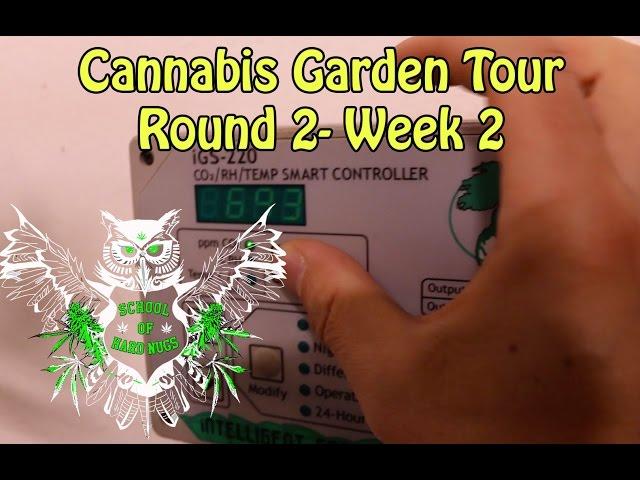 Cannabis Garden Tour, Round 2 - Week2 | Room Temperature | CO2  | Humidity