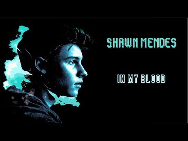 In My Blood - Shawn Mendes (Lyrics)