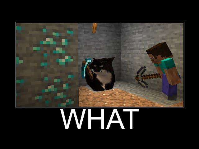 Maxwell the Cat in Minecraft wait what meme part 132