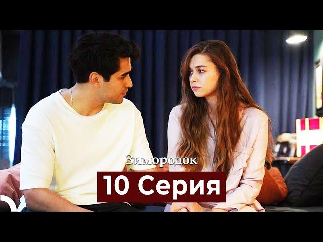 Зимородок 10 Cерия (Русский дубляж)