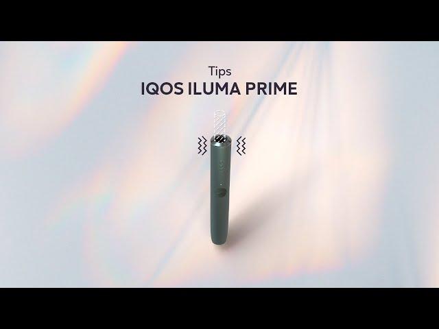 Tips IQOS ILUMA PRIME