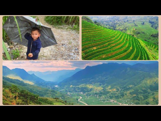 #3. Sapa - North Vietnam #vietnam #sapa #rice