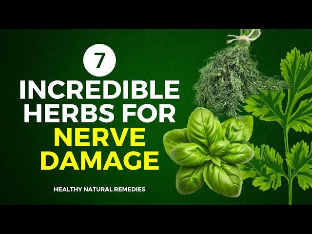 7 Incredible Herbs For Nerve Damage (Prevent Neuropathy)