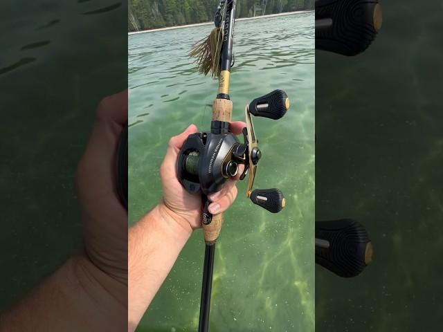 All NEW Googan Squad GOLD Baitcaster (Fishing Reels) #fishingreels #shortsfeed #googansquad