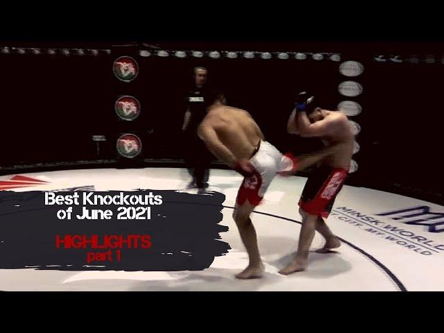 Best Knockouts of June 2021 | part 1 | Highlights | MMA