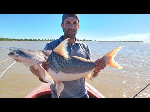 MUCHA PESCA EN:#sannicolas  ,hermosa ciudad,rio (parana) #parana