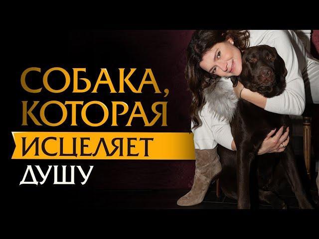 Собака, которая исцеляет душу | Психотерапевт Ольга Лукина