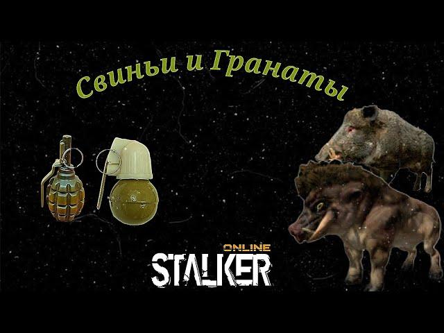 Stalker Online/Stay Out  Свиньи и Гранаты