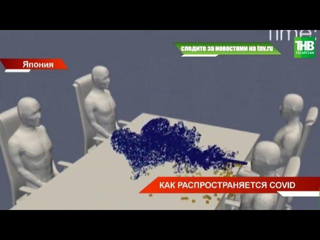 Как распространяется коронавирус наглядно показали японские учёные | ТНВ