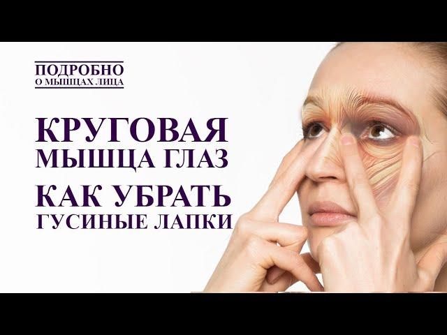 КРУГОВАЯ МЫШЦА ГЛАЗ. КАК УБРАТЬ ГУСИНЫЕ ЛАПКИ. Анатомия мышц лица. Как сохранить лицо молодым