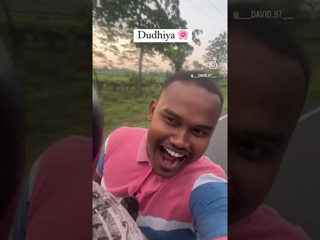 𝐏𝐨𝐯: 𝐲𝐨𝐮 𝐚𝐫𝐞 𝐢𝐧 Dudhiya | Panighata Siliguri | Jungli baba #siliguri #northbengal #forest