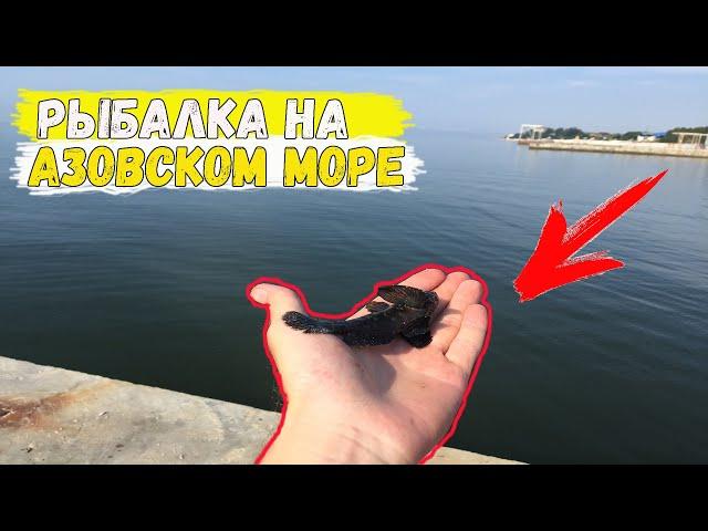 Рыбалка на Азовском море / Рыбалка в Урзуфе / Ловля бычка