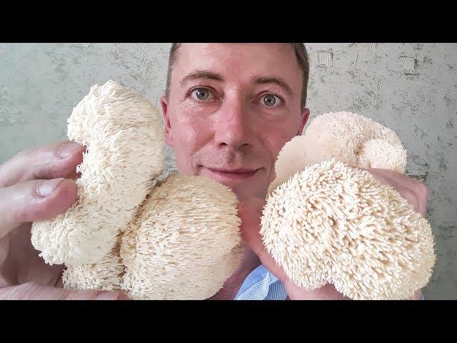 Blackberry comb (Hericium) - we taste together!