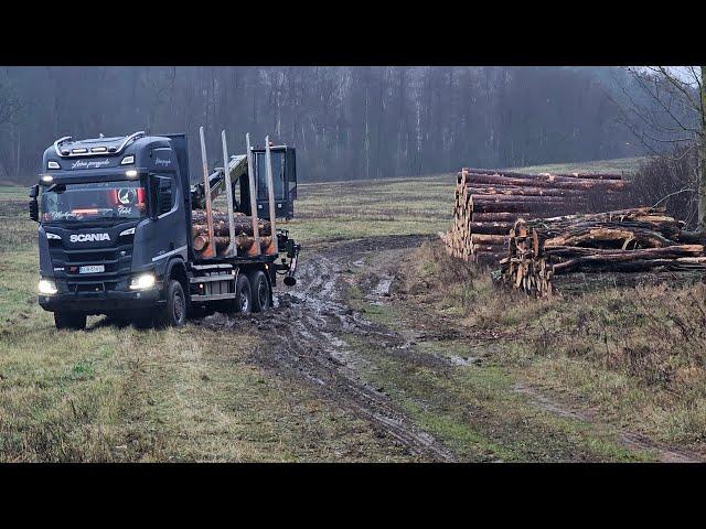 Leśna przygoda #464 UTOPIONA SCANIA W BŁOCIE | takie błędy | mówiłem żebyś TĘDY jechał !