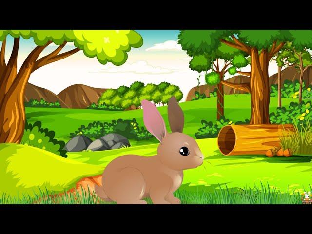 Paws and Whiskers  | Adorable Animal Song for Kids! 