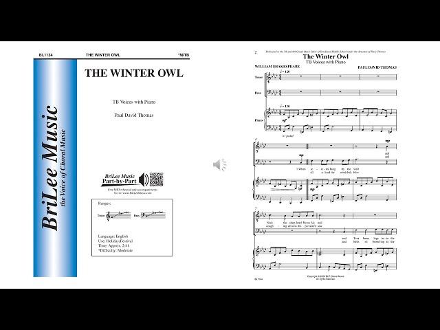 The Winter Owl (BL1134) by Paul David Thomas