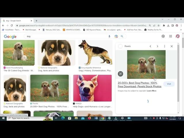 How To Copy Image Link From Google In Laptop