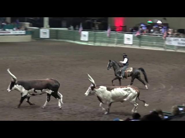 John Payne - The One Arm Bandit - Night of the Horse 2017 - Del Mar National Horse Show