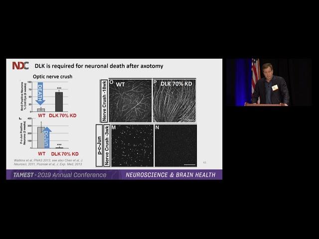 TAMEST 2019: Jim Ray on Neurodegeneration and Alzheimer's